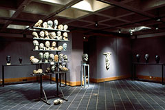 Haverford College 1996