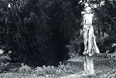 Morris Arboretum 1988