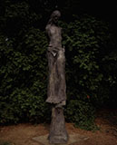 Morris Arboretum 1988
