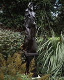 Morris Arboretum 1988