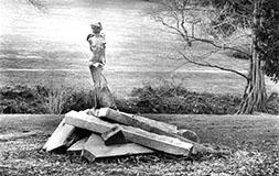 Morris Arboretum 1988