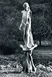 Morris Arboretum 1988