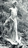 Morris Arboretum 1988