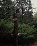 Morris Arboretum 1988