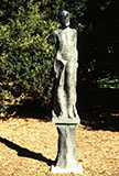 Morris Arboretum 1988